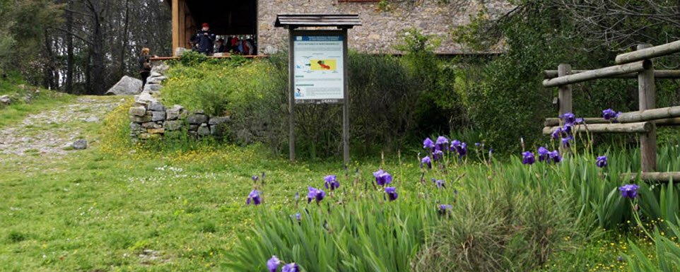 Orto botanico di Montemarcello, Italy, Italy